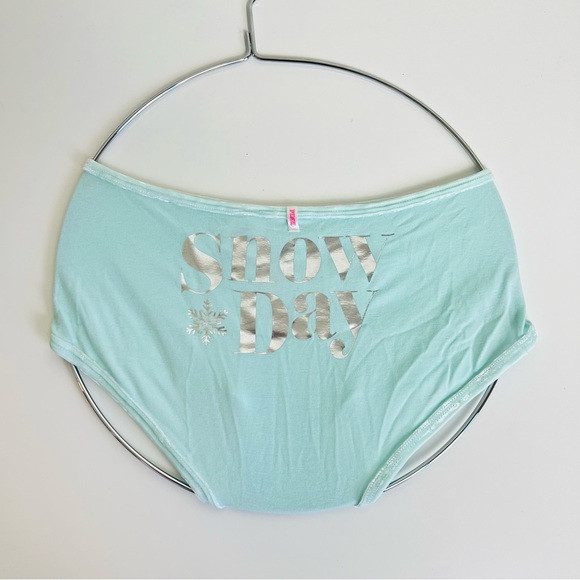 NWT PINK Victoria’s Secret ‘Snow Day’ Mint Velvet Boyshort Underwear Panty - Picture 5 of 13